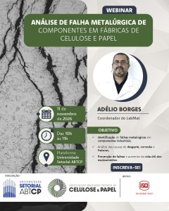 Webinar_Análises_de_Falhas_Metalúrgicas_FEED (1)
